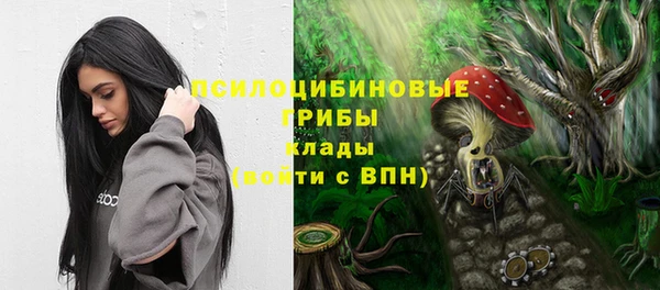 a pvp Каменка