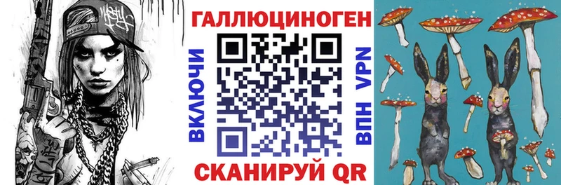 где найти   Каргат  Псилоцибиновые грибы мухоморы 