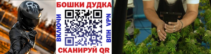 MEGA ONION  Каргат  Конопля конопля 
